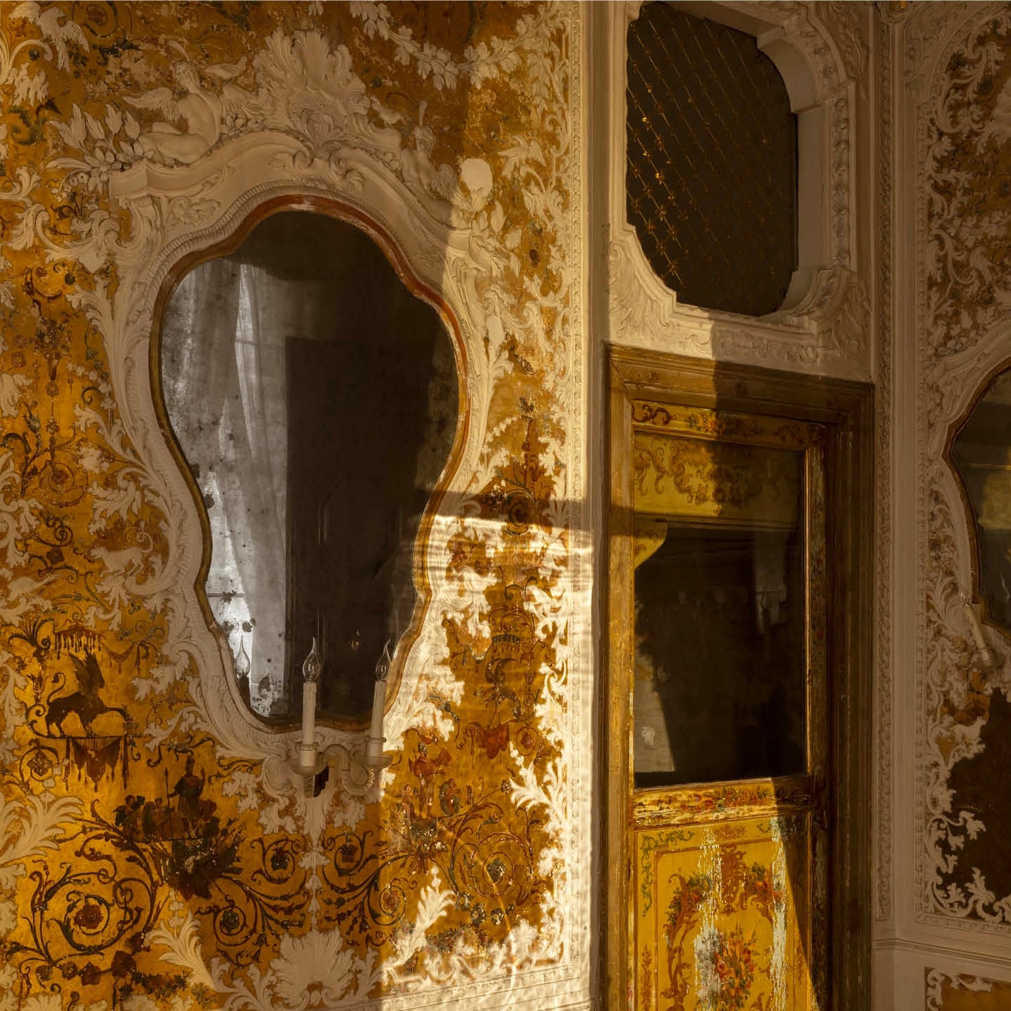 Taryn Simon: The Picture Collection | NOWNESS